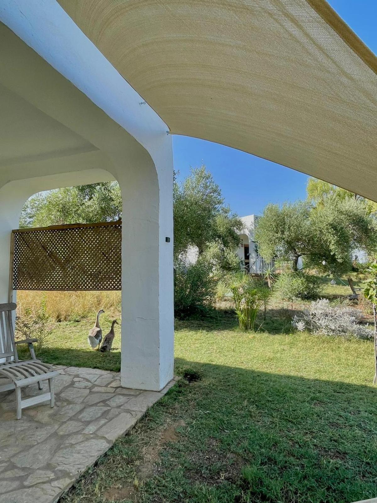 Bungalow -Escapadas En Аркос-де-ла-Фронтера Екстер'єр фото